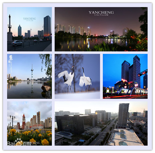 1631257603118148.jpg 盐城.JPG